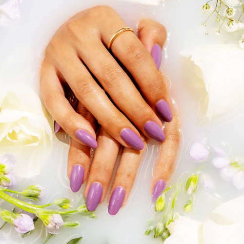Malva - Image 3