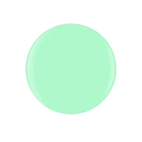 Mint Chocolate Chip - Image 2