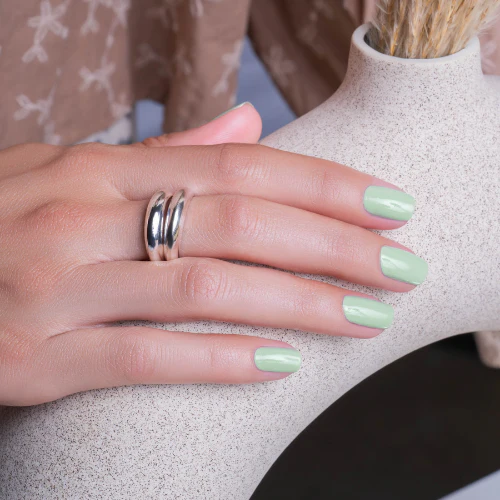 Mint Chocolate Chip - Image 4