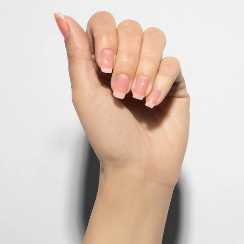 Simple Sheer - Image 2